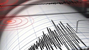 Alaska Yarımadası'nda 6.0 büyüklüğünde deprem