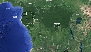 Gabon'da darbe girişimi