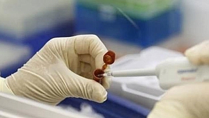 Komşuda domuz gribi alarmı! Hayatını kaybedenlerin sayısı artıyor